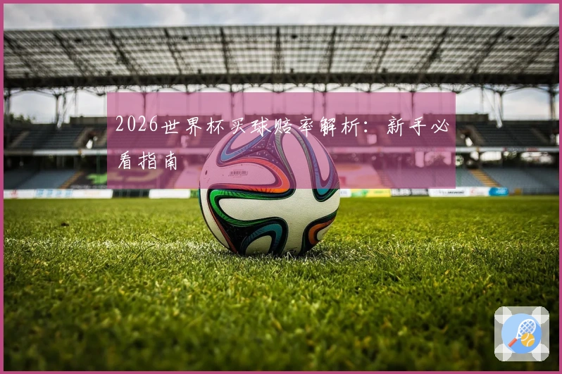 2026世界杯买球赔率解析：新手必看指南