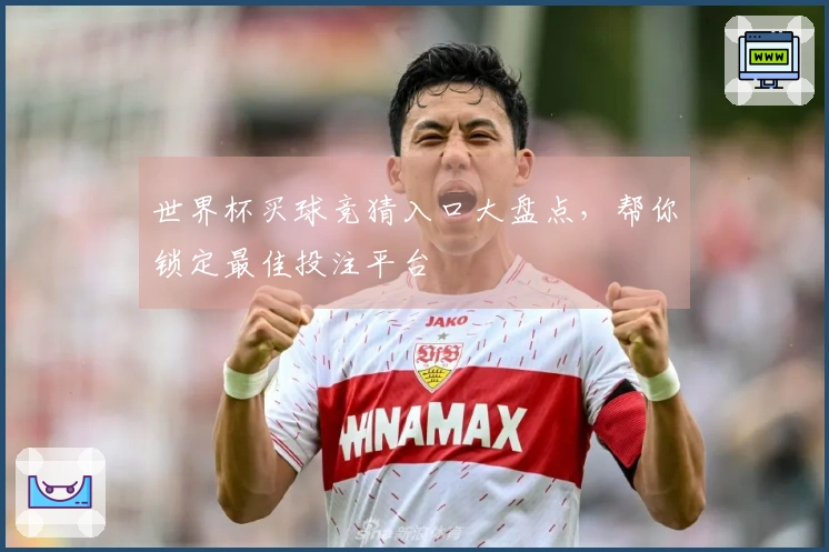 世界杯买球竞猜入口大盘点，帮你锁定最佳投注平台