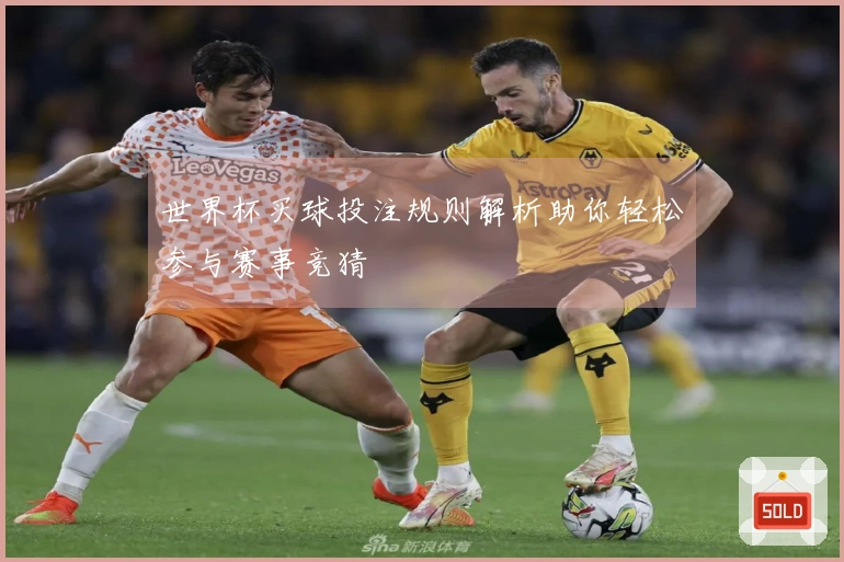 世界杯买球投注规则解析助你轻松参与赛事竞猜