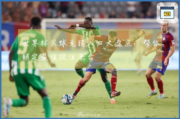 世界杯买球竞猜入口大盘点，帮你锁定最佳投注平台