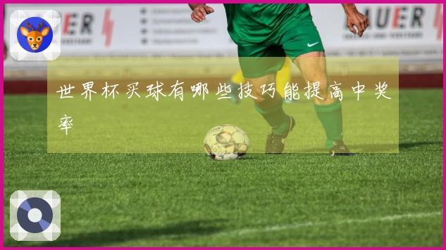 世界杯买球有哪些技巧能提高中奖率