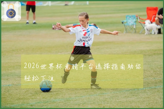 2026世界杯竞猜平台选择指南助你轻松下注