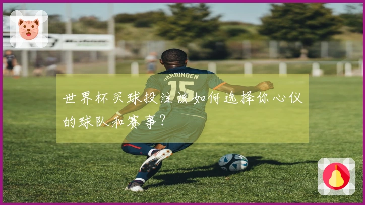世界杯买球投注该如何选择你心仪的球队和赛事？