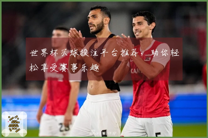 世界杯买球投注平台推荐，助你轻松享受赛事乐趣