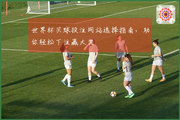 世界杯买球投注网站选择指南，助你轻松下注赢大奖