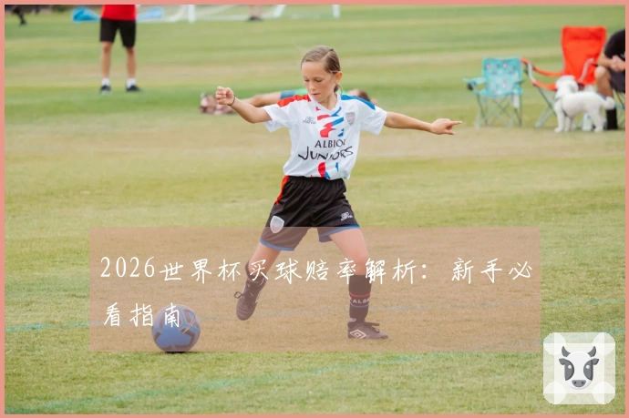 2026世界杯买球赔率解析:新手必看指南