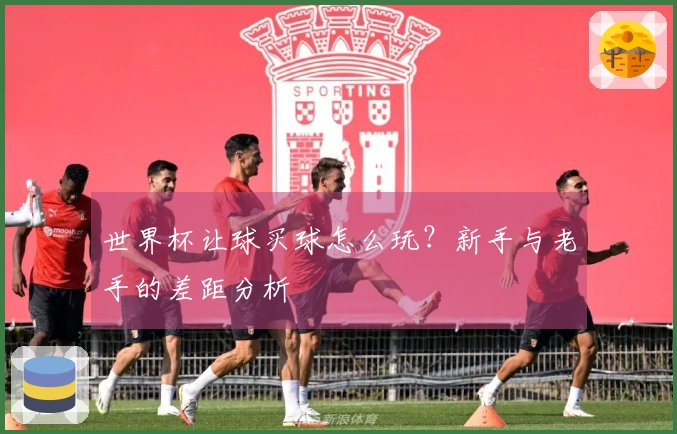 世界杯让球买球怎么玩？新手与老手的差距分析