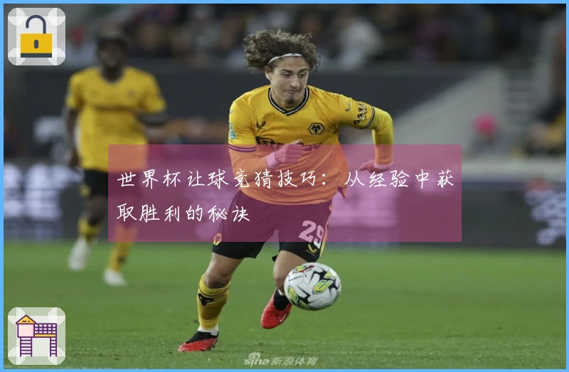 世界杯让球竞猜技巧：从经验中获取胜利的秘诀