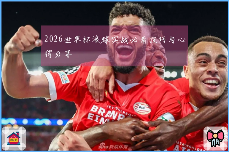 2026世界杯滚球实战必看技巧与心得分享